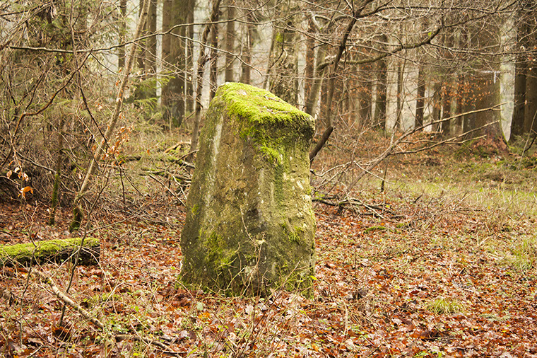 der hänicke stein
